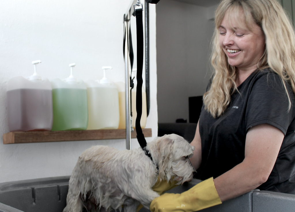 Hundesalon – Søndergade 1E, 4130 Sjælland